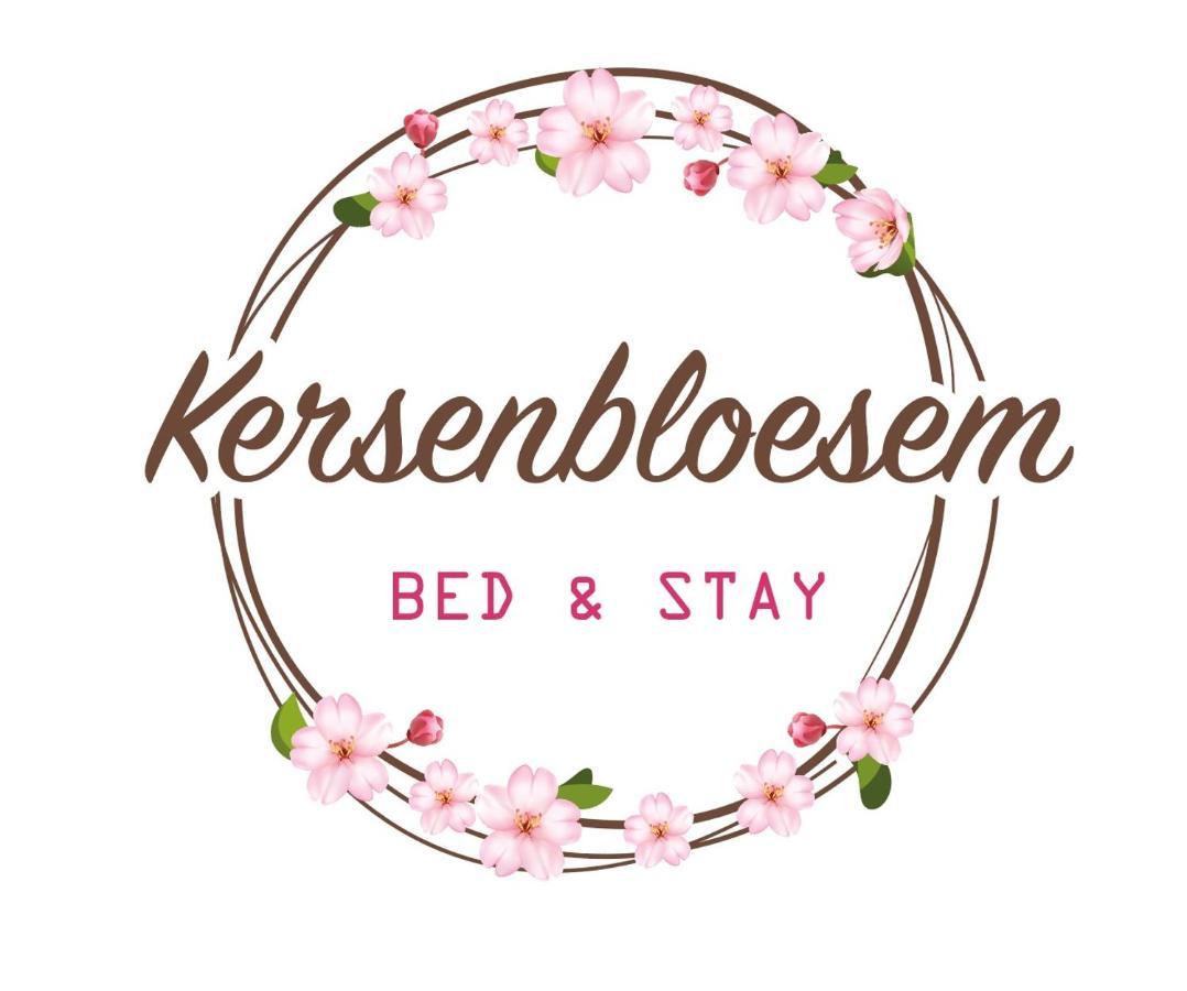 Bed & Stay Kersenbloesem Nijswiller Exterior foto